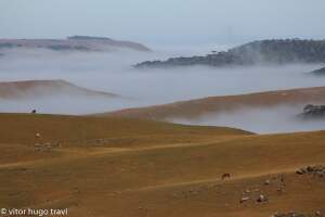 neblina em manh de inverno