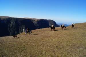 Paisagens do Passeio a Cavalo