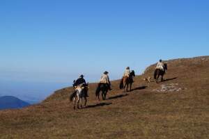 Paisagens do Passeio a Cavalo