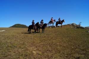 Paisagens do Passeio a Cavalo