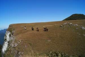 Paisagens do Passeio a Cavalo