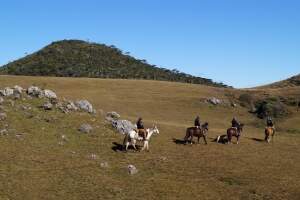 Paisagens do Passeio a Cavalo