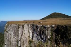 Paisagens do Passeio a Cavalo