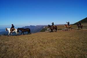 Paisagens do Passeio a Cavalo