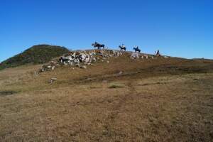 Paisagens do Passeio a Cavalo